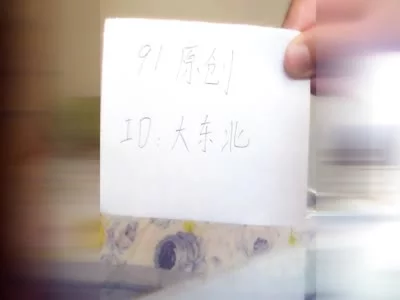 哈